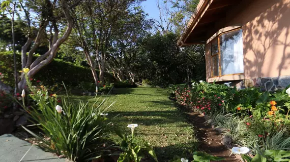 Hotel las Orquideas | Puntarenas (ili) - Monteverde