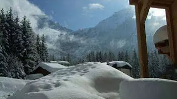 Les Rives d'Argentière | Auvergne-Rhone-Alpes - Haute-Savoie (bölge) - Chamonix-Mont-Blanc - Argentiere