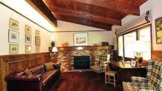 Saddle Road Home in Sun Valley by Alpine Lodging | Idaho - Sun Valley (ve civarı) - Sun Valley