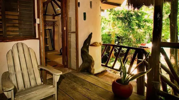 Ecolodge Shalala | Quintana Roo - Solidaridad - Playa del Carmen