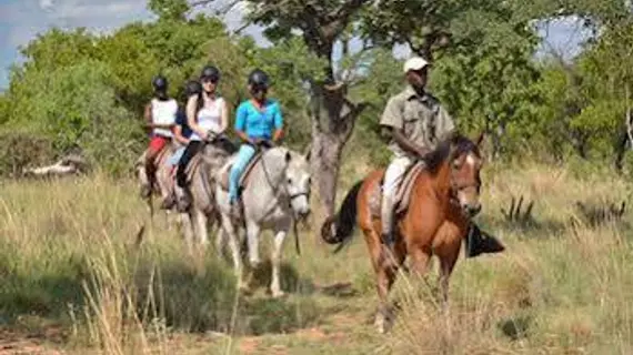 Kwafubesi Tented Camp | Limpopo - Waterberg District - Bela-Bela