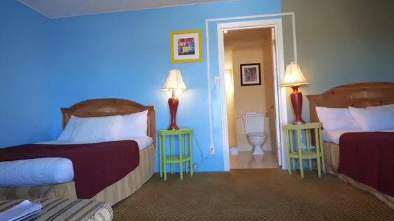 9 Palms Inn | Kaliforniya - San Bernardino County - Twentynine Palms (ve civarı) - Twentynine Palms