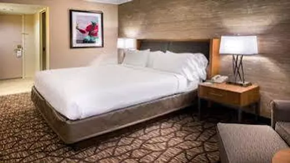 Holiday Inn Hotel & Suites Warren | Michigan - Detroit (ve civarı) - Warren