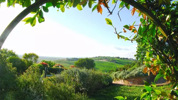 Agriturismo Santa Margherita | Umbria - Perugia (vilayet) - Castiglione del Lago