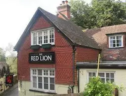 The Red Lion | Surrey (kontluk) - Betchworth