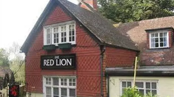 The Red Lion | Surrey (kontluk) - Betchworth