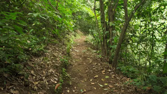 Villas Josipek | Alajuela (ili) - San Carlos (kantonu) - El Castillo - Chachagua