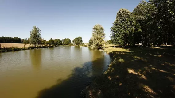 Manoir de la Blonnerie | Nouvelle-Aquitaine - Vienne (bölge) - Velleches