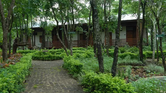 Popa Mountain | Mandalay Bölgesi - Popa