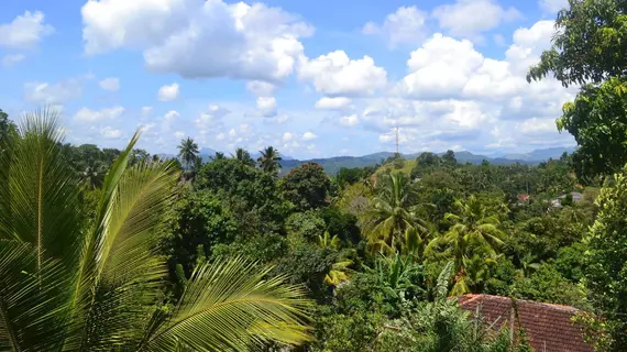 Blue Haven Guest House | Merkez Vilayet - Kandy Bölgesi - Kandy