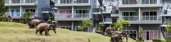 Arawan Krabi Beach Resort | Krabi İli - Krabi