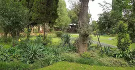 Sarabi Lodge and Conference Centre | Gauteng - City of Tshwane - Johannesburg (ve civarı) - Kempton Park