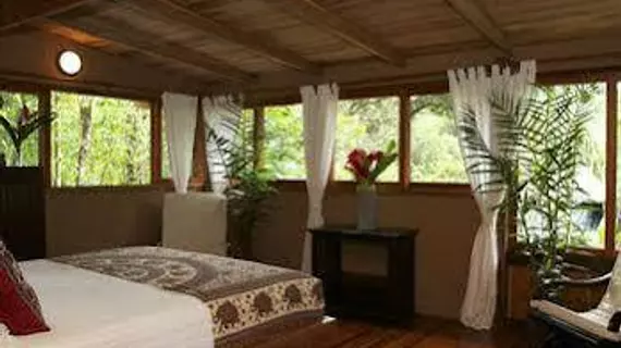 Copa De Arbol Beach & Rainforest Resort | Puntarenas (ili) - Drake Bay