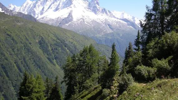 Hôtel de la Couronne | Auvergne-Rhone-Alpes - Haute-Savoie (bölge) - Chamonix-Mont-Blanc - Argentiere