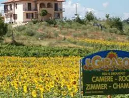 Il Girasole Bed & Breakfast | Toskana - Siena (vilayet) - Montepulciano