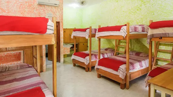 Amigos Hostel Cozumel | Quintana Roo - Cozumel