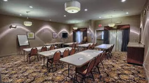 Holiday Inn Express Hotel & Suites Pell City | Alabama - Oxford (ve civarı) - Pell City