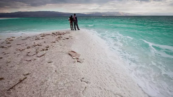 Belfer's Dead Sea Cabins | Tamar Bölge Konseyi - Neot HaKikar