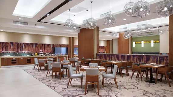 Hilton Garden Inn Moscow Krasnoselskaya | Moskova (ve civarı) - Moskova Kent Merkezi