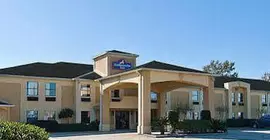 Ambassador Inn Lafayette | Louisiana - Lafayette (ve civarı) - Scott