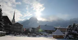 Hotel Goldener Stern | Salzburg (eyalet) - Hallein - Abtenau