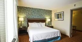 Fairfield Inn and Suites Toronto Airport | Ontario - Toronto (ve civarı) - Mississauga - Kuzeydoğu Mississauga