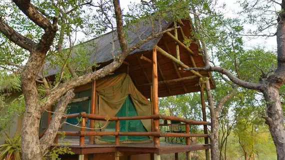 Sausage Tree Safari Camp | Limpopo - Maruleng - Hoedspruit