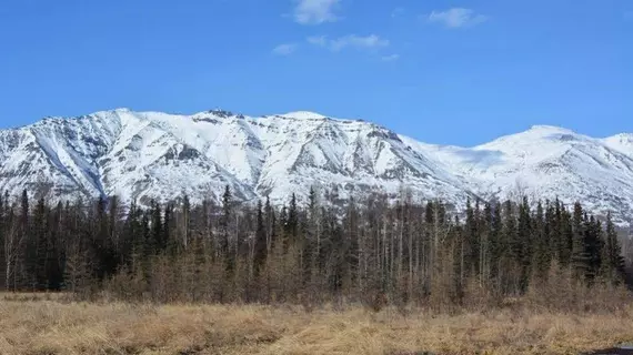 Moose Wallow Cabins | Alaska - Anchorage (ve civarı) - Palmer