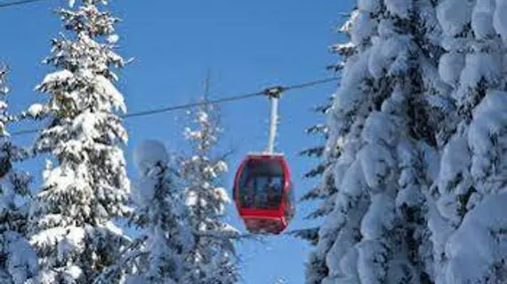 Hotel Moawirt | Salzburg (eyalet) - Sankt Johann im Pongau - Wagrain