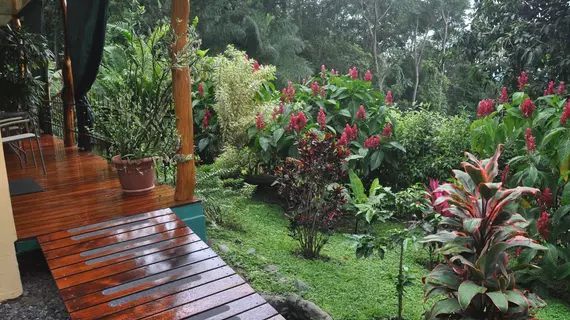 Tiriguro Lodge | Alajuela (ili) - San Jose (ve civarı) - Orotina