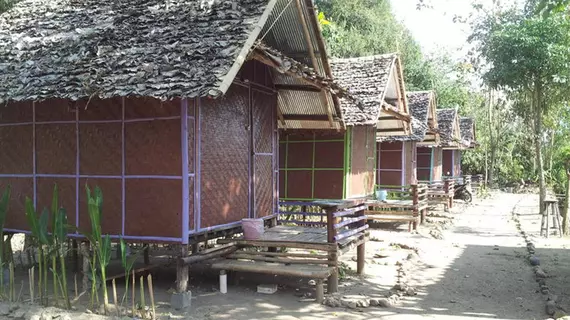 Purple Monkey Backpackers | Mae Hong Son İli - Pai