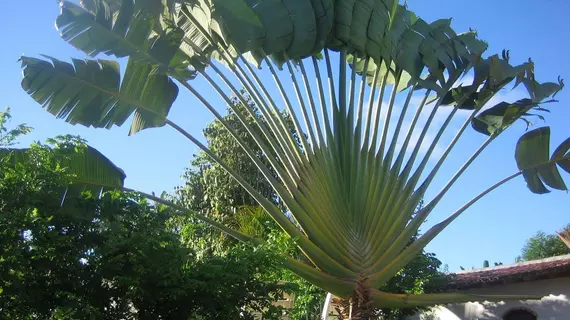 Pousada Ancora | Northeast Region - Bahia (eyaleti) - Vera Cruz