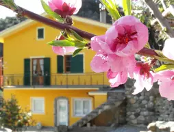 Agriturismo Costa di Campo | Liguria - La Spezia (il) - Vernazza