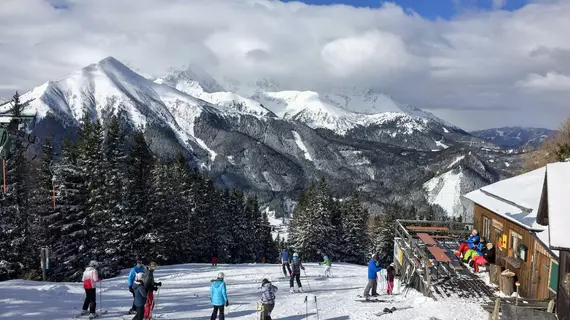 Chalet Triebenstein | Styria - Murtal Bölgesi - Hohentauern