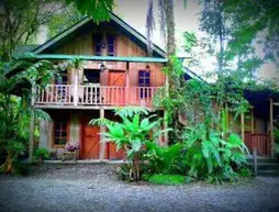 La Gamba Rainforest Lodge | Puntarenas (ili) - Golfito