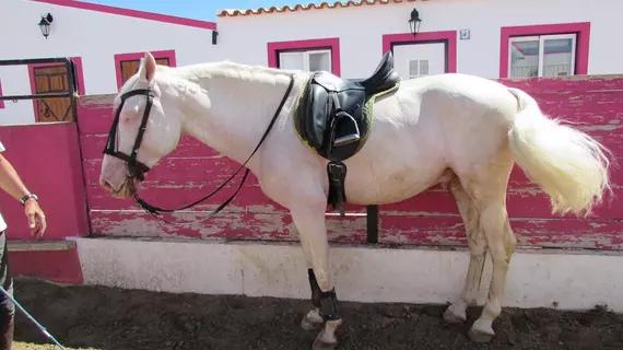 Lusitaurus | Alentejo - Evora Bölgesi - Redondo - Montoito