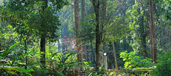 Green Spaces Munnar | Kerala - Idukki Bölgesi - Devikolam