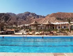 Canyon Estate Kite and Dive Beach Residence | Güney Sina (il) - Dahab