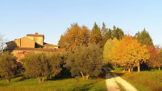 La Paolina | Toskana - Siena (vilayet) - Torrita di Siena