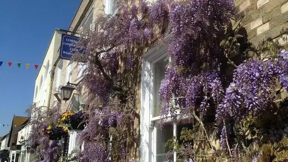 Wisteria House | Hampshire (kontluk) - Lymington