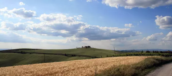 Agriturismo Bagnacci | Toskana - Siena (vilayet) - Montalcino