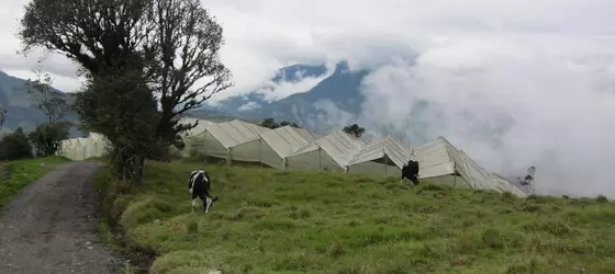 Las Orquídeas | Tungurahua - Banos