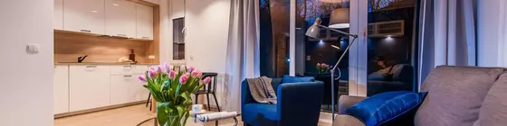 Apartinfo Apartments - Copernicus | Doğu Pomeranya Voyvodalığı - Gdansk (ve civarındaki alan) - Gdansk - Aniolki