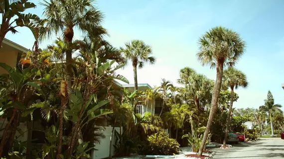 Coquina On The Beach | Florida - Sarasota (ve civarı) - Sarasota - Lido Key