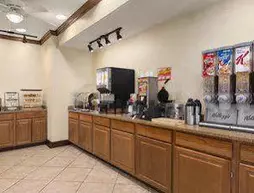 Country Inn & Suites Savannah North | Georgia - Savannah (ve civarı) - Port Wentworth