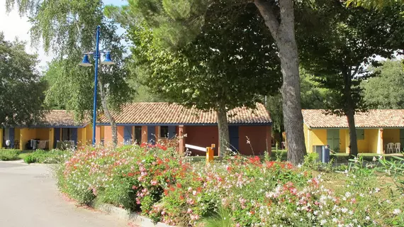 Le Méditerranée Argelès | Occitanie - Pyrenees-Orientales (Doğu Pireneler) - Argeles-sur-Mer