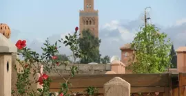 Dar Fangui | Marakeş (ve civarı) - Marrakech - Mechouar Kasbah - Mechouar-Kasbah