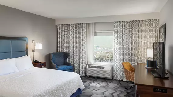 Hampton Inn Lewiston ID | Idaho - Lewiston (ve civarı) - Lewiston