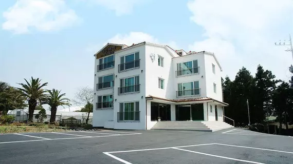 Yilin Pension | Jeju Adası - Seogwipo - Seogwipo Şehri