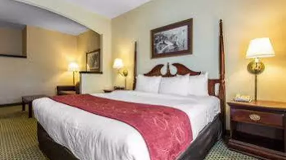 Comfort Suites Salisbury | Kuzey Karolayna - Lexington - Salisbury (ve civarı) - Salisbury